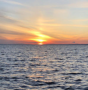 Meet your Posher, Sydney